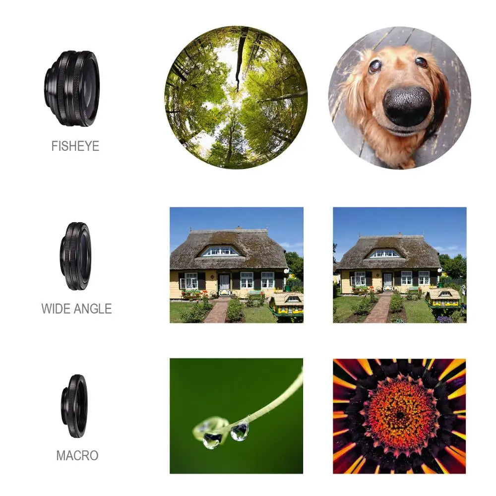 Exemples de photos fisheye grand-angle et macro au smartphone